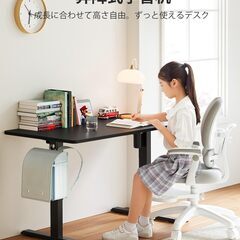電動 昇降ローデスク スタンディングデスク 幅100cm 奥行60cm 高さ48-72cm 上下昇降デスクの画像