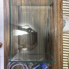 中古品  　GEXガラス水槽（フレームレス）