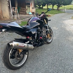 z1000 カスタムペイント