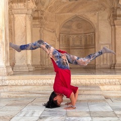 サークル等でインドヨガを🇮🇳🧘🏽‍♀️