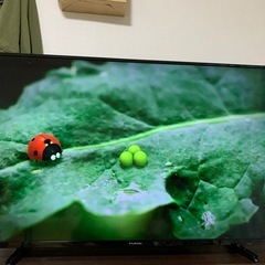 FUNAIテレビ　2020年　50インチ4K液晶　テレビボードセット 【値引き相談可能】の画像