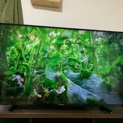 FUNAIテレビ　2020年　50インチ4K液晶　テレビボードセット 【値引き相談可能】の画像