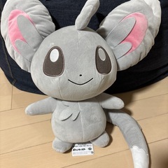 ポケモンぬいぐるみ