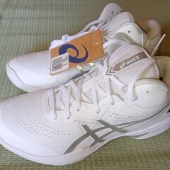 asics ゲルフープ V15 バスケットボールシューズ …