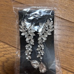 アクセサリーセットの画像