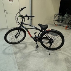 bfat002_14.jpg
