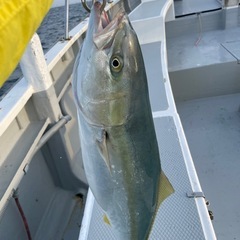 釣り仲間募集