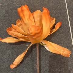 Francfranc 造花の画像