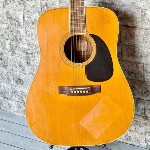 Rider Custom Model R-350