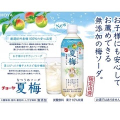 チョーヤ　無添加　夏梅ソーダ　24本入り1ケース　梅ジュース　炭酸飲料の画像