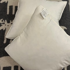 🟢予約中🟢【6/22まで】クッション本体（フェザー）