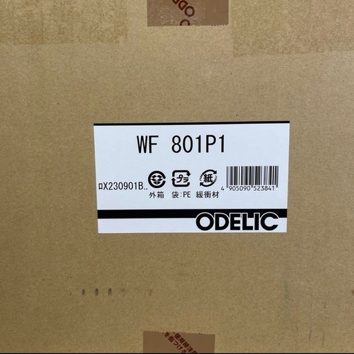 【1点限り‼️】ODELIC シーリングファン WF801P1　Y