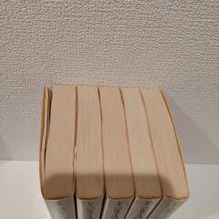 値下げ！ベルサイユのばら全5巻
池田理代子
Riyoko Ikeda
集英社文庫
解説:林真理子の画像