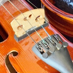 Hallstatt「CV-210E」エレキバイオリンの画像