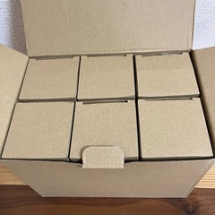  エジソン電球 6個パック 暖かいホワイト2200K 白熱灯 60W 110V 新品未使用の画像