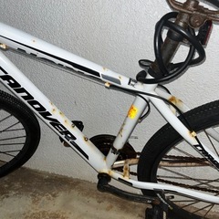 マウンテンバイクの画像