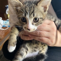 4月12日生まれです。