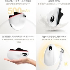 新品！美顔器 電動 カッサ 振動 LED調整可能 全身使用 男女兼用 家庭用の画像