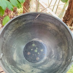 ハンギングプランター ２つセットで！の画像