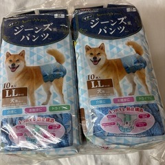 【新品】ドギーマン 犬用オムツ　LLサイズの画像
