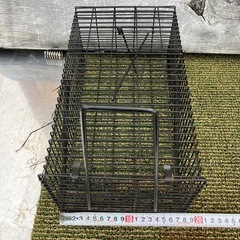 捕獲機小動物の画像