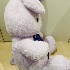 ぬいぐるみの画像