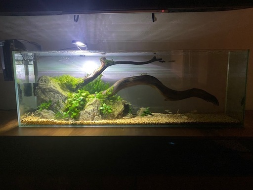 90cm水槽 フルセット