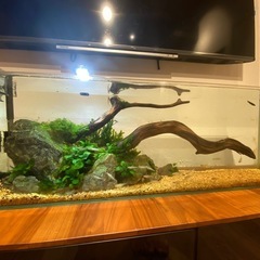 90cm水槽 フルセット