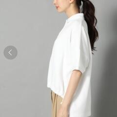 レプシィム  ポロシャツ 灰の画像
