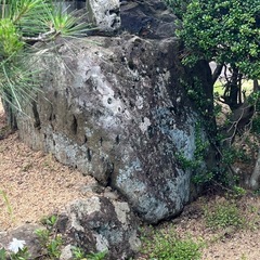 庭の石もらってくださいの画像
