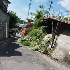 夏ですね！！草刈り手伝います。