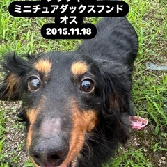 10歳の男の子