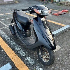 快速ライブディオ🐝他在庫多数飛込見学大歓迎 
