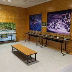 田平子昆虫自然園昆虫展示&委託販売