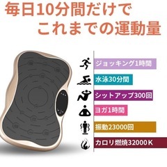 振動マシン ダイエット ブラックの画像