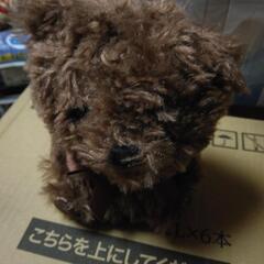 しゃべるぬいぐるみ！
