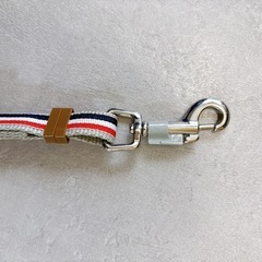 ポンポリース　ストライプデザイン犬用リードの画像