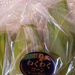 もろこし②