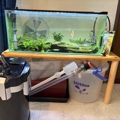 アクアリウムセット全てお譲り/60cmスリム水槽ですの画像