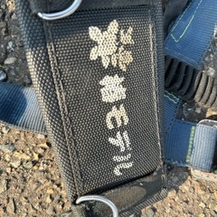 3M ハーネス、ランヤード、腰パットセットの画像