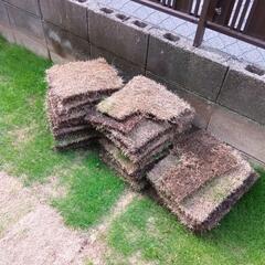 芝あげます新瑞橋より