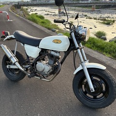 ホンダエイプ50 外装塗り直してますの画像