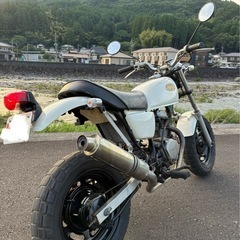 ホンダエイプ50 外装塗り直してますの画像