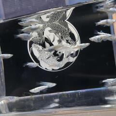 🌟レックウザ トリオ販売🌟の画像