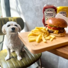 西八王子駅北口から徒歩2分にあるワンちゃんOKなCafe＆…