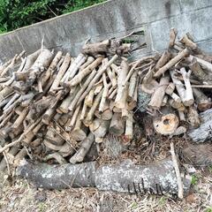 薪　木　キャンプ　バーベキューの画像