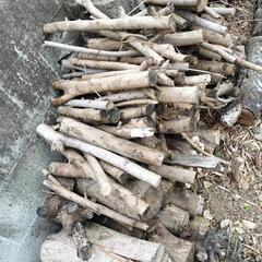 薪　木　キャンプ　バーベキューの画像