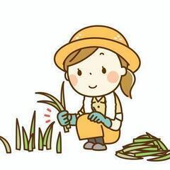 草刈りお受けいたします - 浜田市