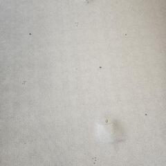 【6/30㈪のみ無料】ロールマット 110×500cm 防音の画像