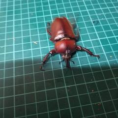 国産カブトムシレッドアイ②の画像